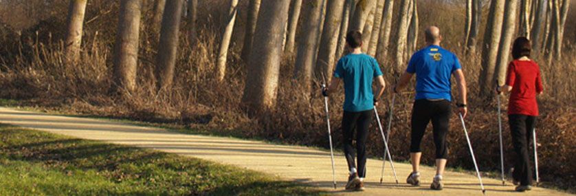 Walking with walking sticks, an effective cross-training method?