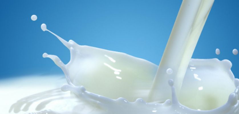 ¿Es sano tomar leche de vaca?
