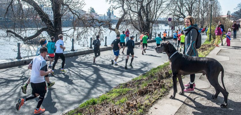 Medio Maratón de Praga 2018: Turismo en una ciudad de ensueño