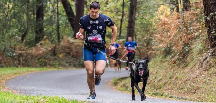 Canicross, everything you need to know to run with your dog