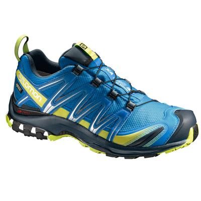 Zapatillas de Trail Running para Hombre SALOMON XA Pro 3D GTX 