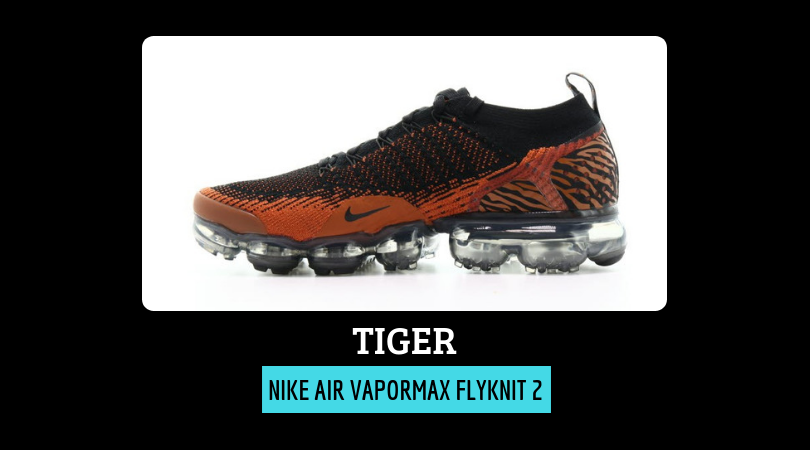 Nike Air Vapormax Flyknit 2 