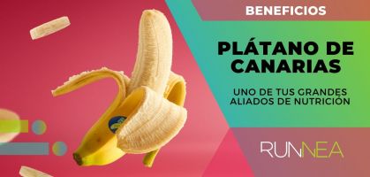 The benefits of the Canary Island banana backed by science to make it one of your great nutritional allies.