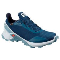 Salomon Alphacross Goretex