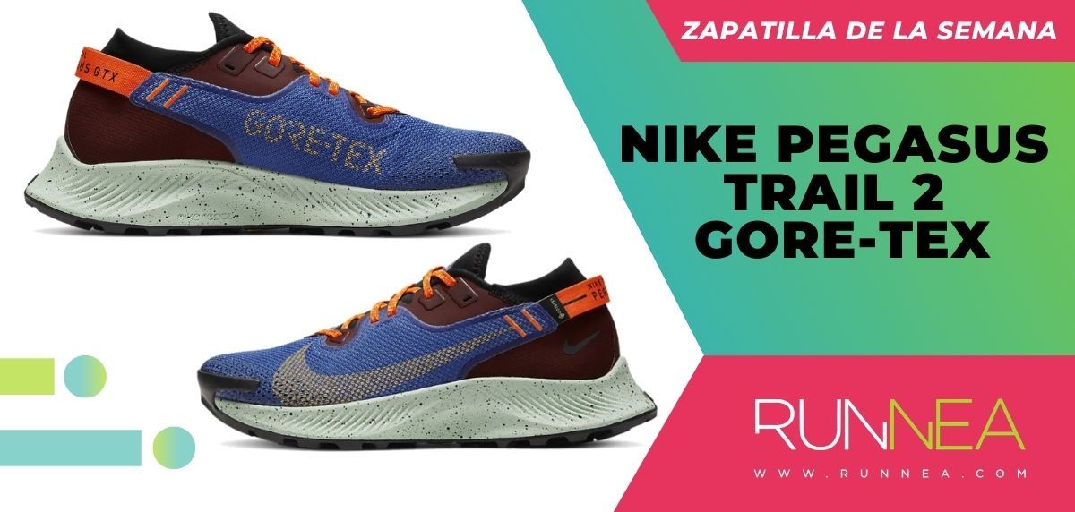 Shoe of the week: Nike Pegasus Trail 2 GORE-TEX