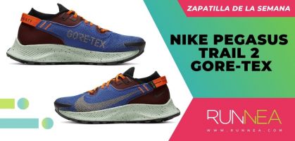 Zapatilla de la semana: Nike Pegasus Trail 2 GORE-TEX