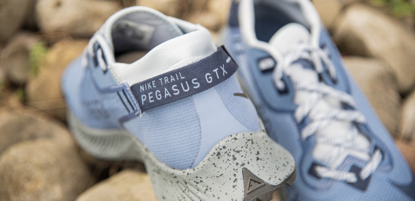 Nike Pegasus Trail 2 Gore-Tex en promoción