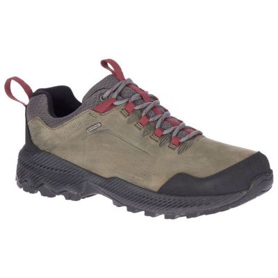 Zapatillas trekking Merrell hombre impermeables talla 50 - Ofertas para comprar online y opiniones |