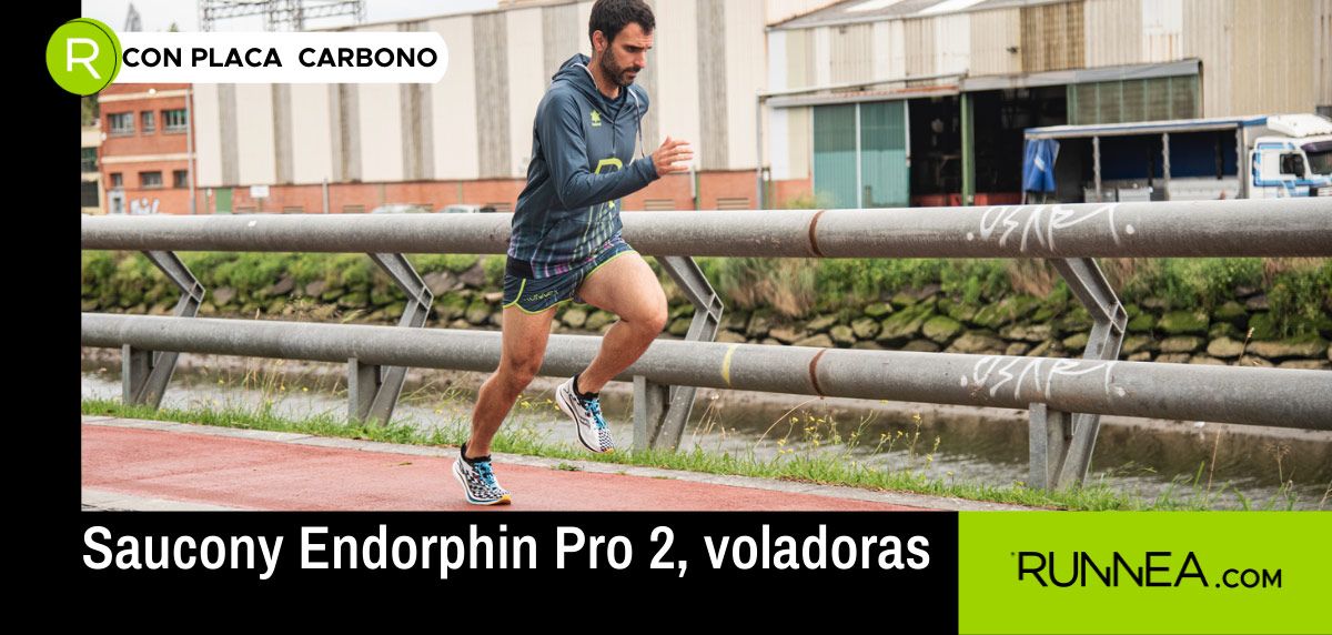 Catch me if you can with the Saucony Endorphin Pro 2: arguments in favor of this flying shoe with carbon plate!