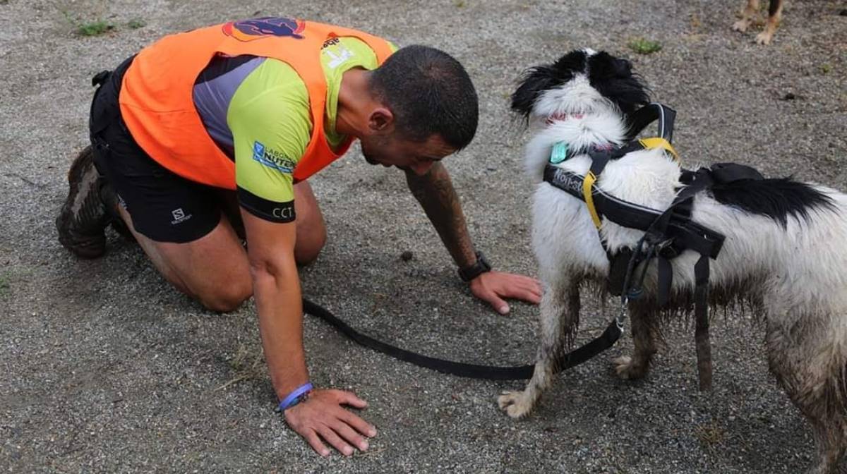 Correr con perro: 6 consejos para empezar entrenar. Capacidad y limitaciones de la raza. 