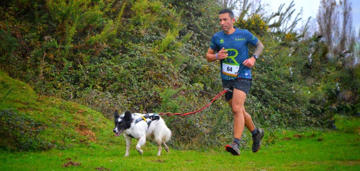 Correr con perro: 6 consejos para empezar entrenar. Edad.