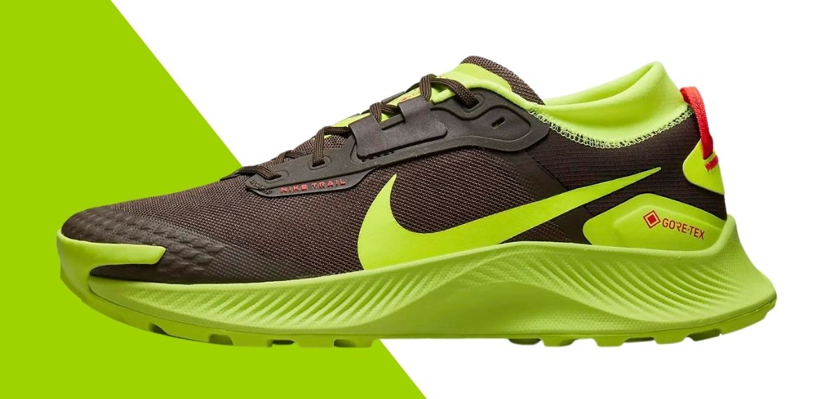 Le migliori scarpe da trail running Nike nel 2022, Nike Pegasus Trail 3 GTX