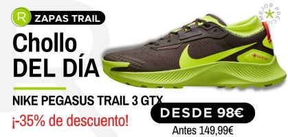 Chollo del día: ¡Nike Pegasus Trail 3 GTX desde 98€ con un -35% de descuento!