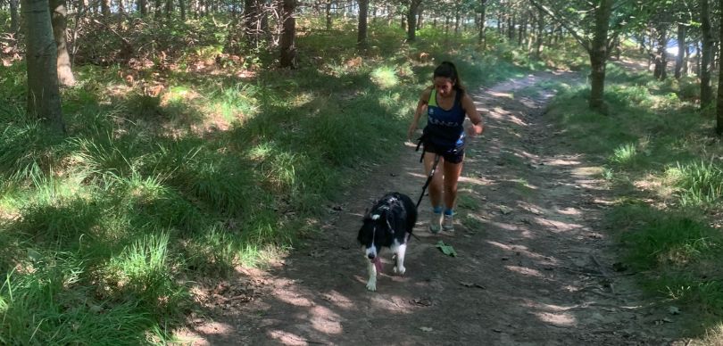Correr con perro: 6 consejos para empezar a entrenar, Raidlight x I-Dog canicross