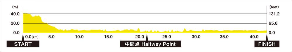 maraton-tokyo-marathon-2023-perfil
