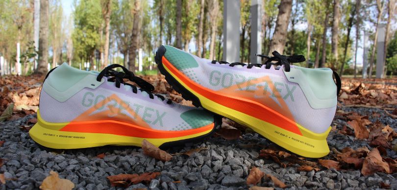 Zapatillas de trail running de hombre Pegasus Trail 4 Gore-Tex Nike
