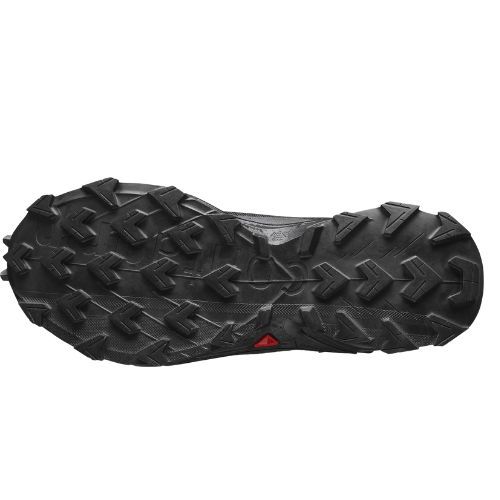 Salomon Alphacross 4 Gore-Tex, review and details | From £ 75.99 | Runnea
