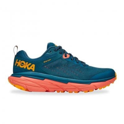 Zapatillas Running HOKA trail - StclaircomoShops - Ofertas para comprar  online y opiniones