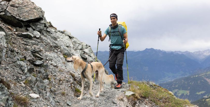 Les vêtements pour chiens non-stop, l'allié idéal pour profiter de la montagne avec votre chien : le confort