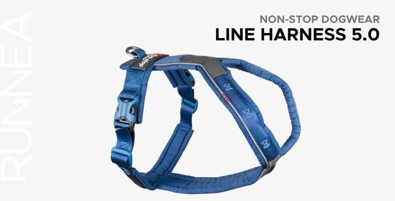 Line Harness 5.0