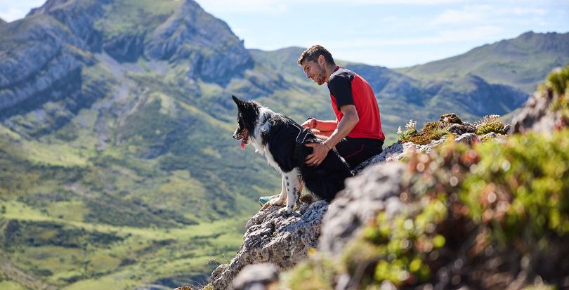 Non-stop dogwear, el aliado perfecto para disfrutar de la montaña junto a tu perro: seguridad