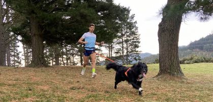 Non-stop dogwear, un kit complet de canicross pour profiter de la course à pied avec votre chien