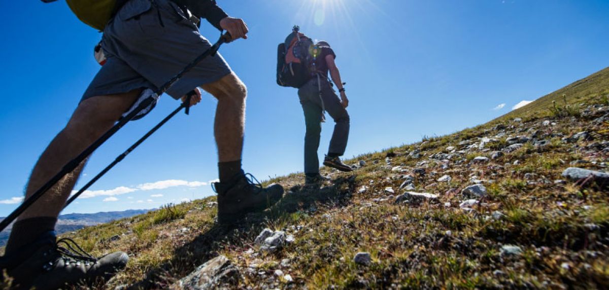 Tío o señor taquigrafía Previsión Mejores zapatillas de trekking en 2023