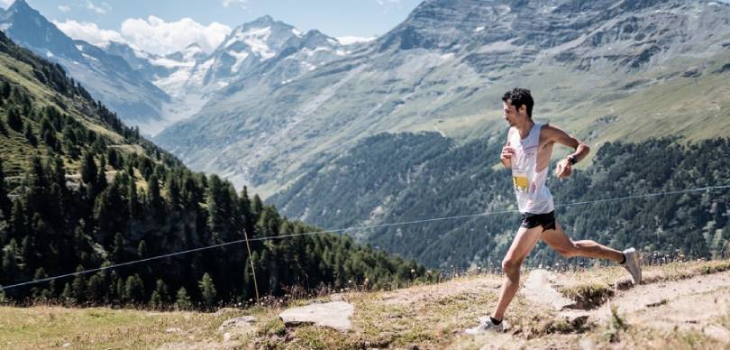Sierre Zinal 2023: Dorsales