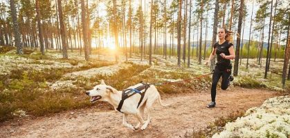 Canicross: O que é e quais são os benefícios de correr com o seu cão?