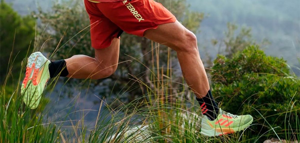 Adidas Terrex: Sus 7 mejores zapatillas de trail running  y 1 de trekking