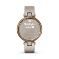 Garmin Lily: análisis, características y ofertas - El mejor smartwatch para  mujer
