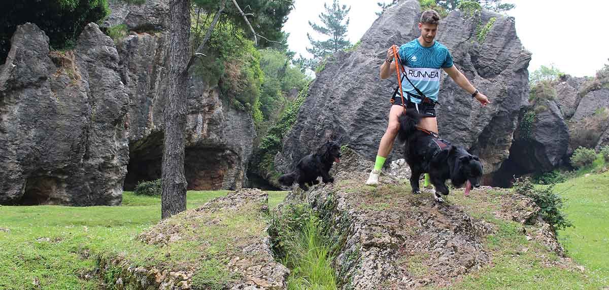 Non-Stop Dogwear Rock Harness Long, sob escrutínio: um arnês de corrida para cães polivalente que pode suportar quase tudo