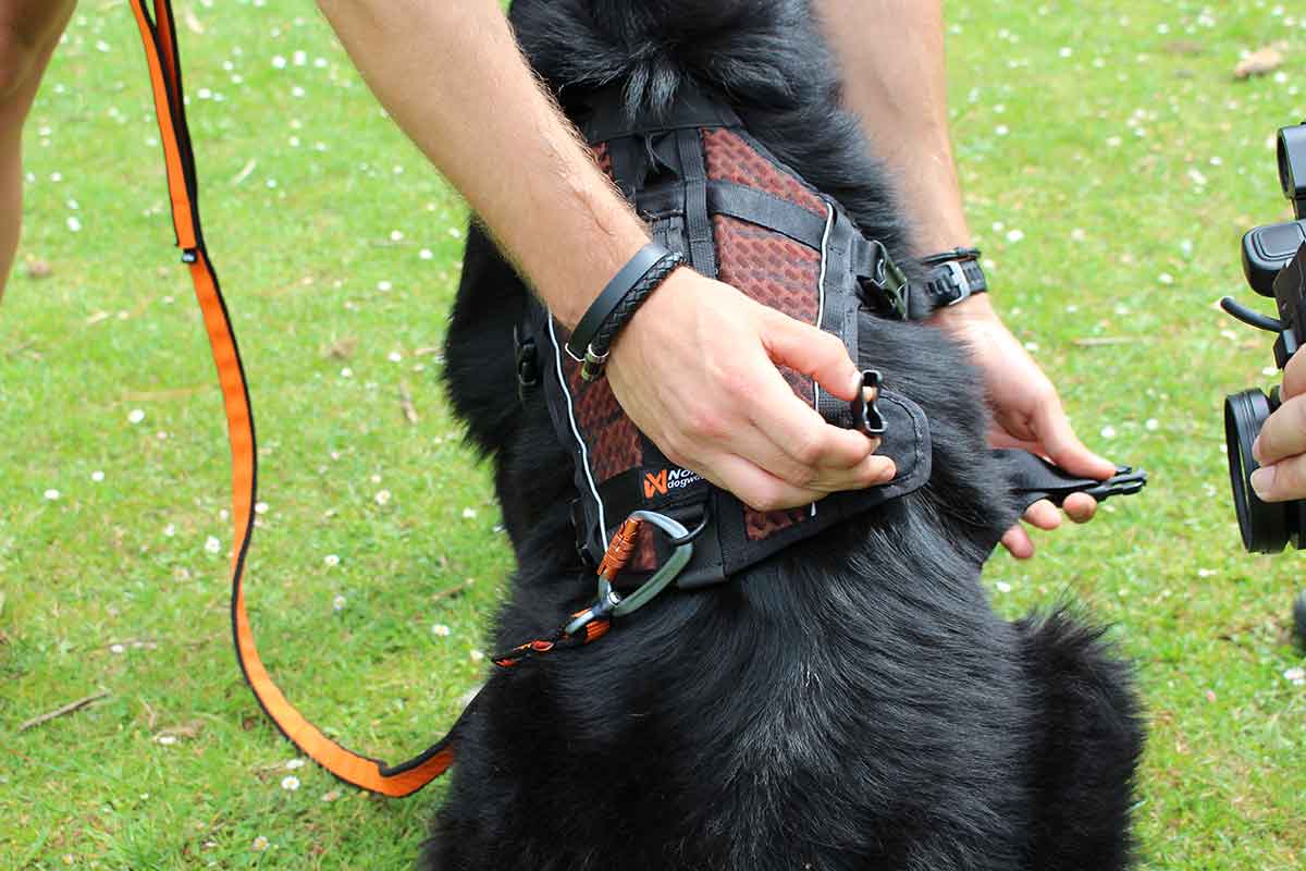Non-Stop Dogwear Rock Harness Long, funcionalidade e características adicionais