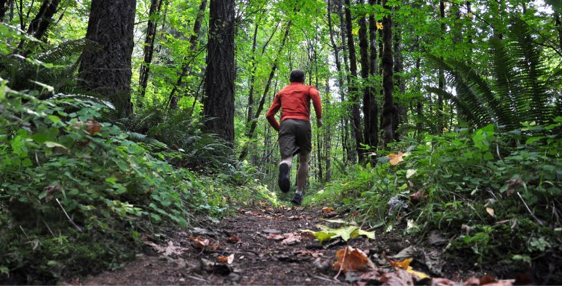 5 basic rules for trail running beginners: Terrain