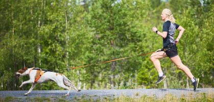 Canicross: Cómo elegir un arnés para tu perro y cuál comprar
