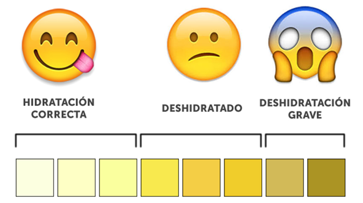 Hidratación y running: cómo beber agua y evitar la deshidratación al correr- color de la orina