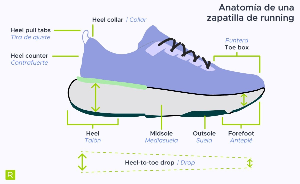 Cómo elegir las zapatillas de deporte perfectas para tus