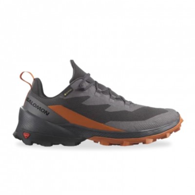 Salomon Cross Over 2 Gore-Tex Homem