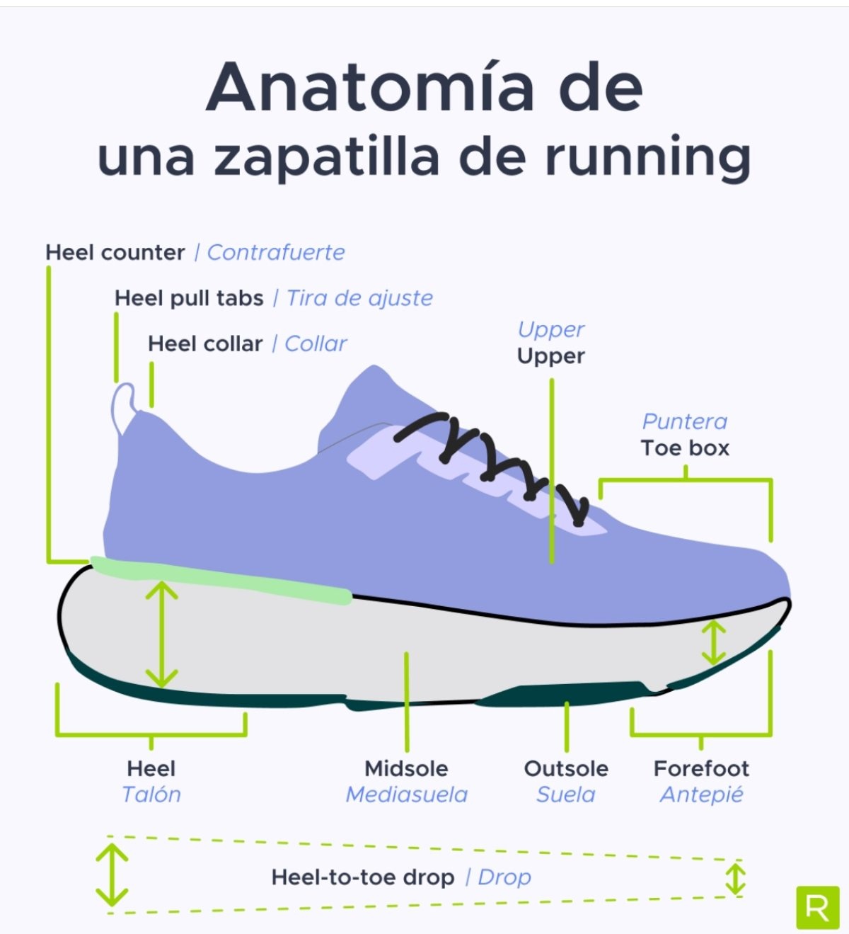 Anatomy of a running shoe: Guide to know what is important when choosing a model or another
