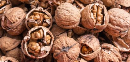 Nuts: benefits, properties and how many to eat a day if you are a runner
