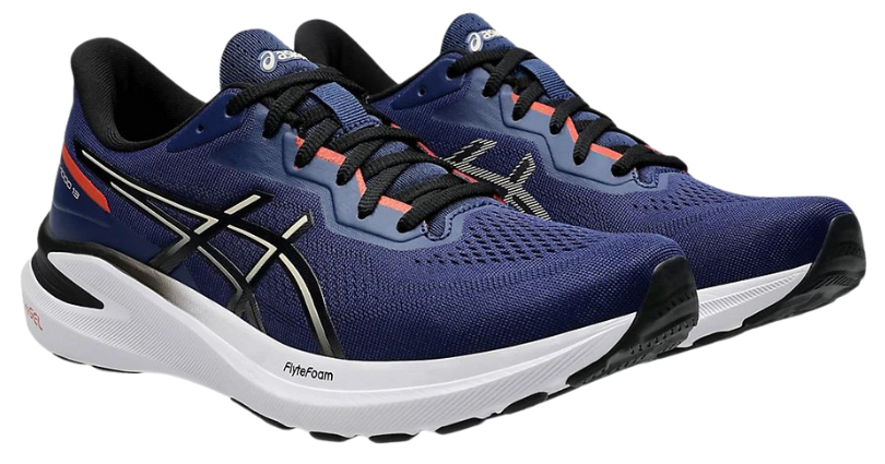 Outstanding features of the ASICS GT-1000 13