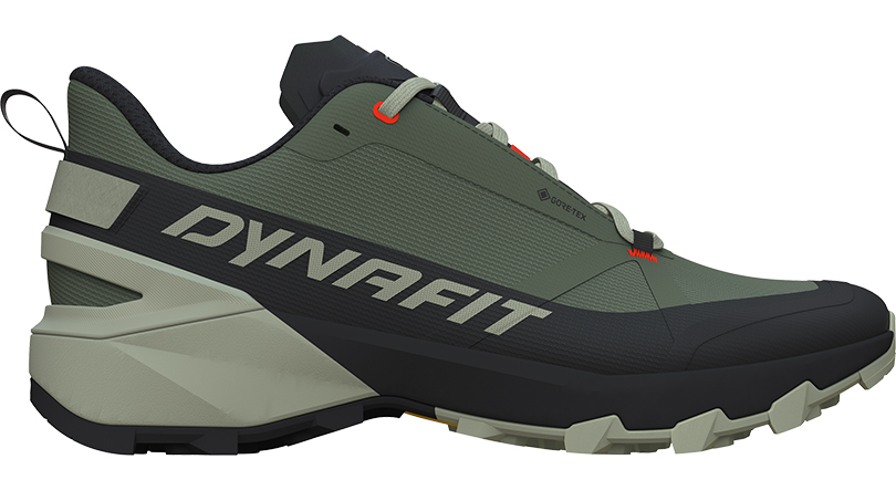 Caratteristiche della Dynafit Transalper 2 Low GTX