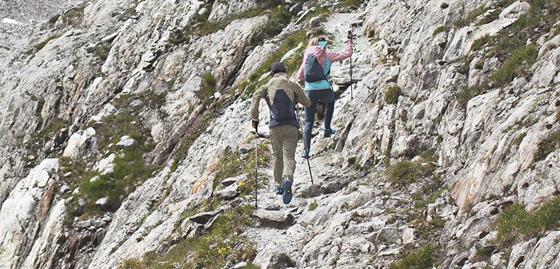 Dynafit Transalper 2 Low GTX- Die wichtigsten Eigenschaften des Dynafit Transalper 2 Low GTX