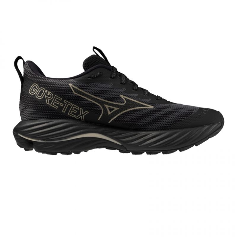 Mizuno Wave Rider GTX 2