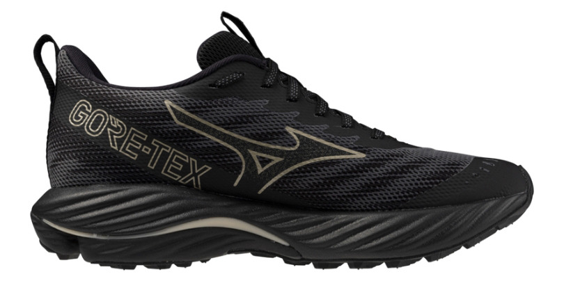 Características de destaque do Mizuno Wave Rider GTX 2