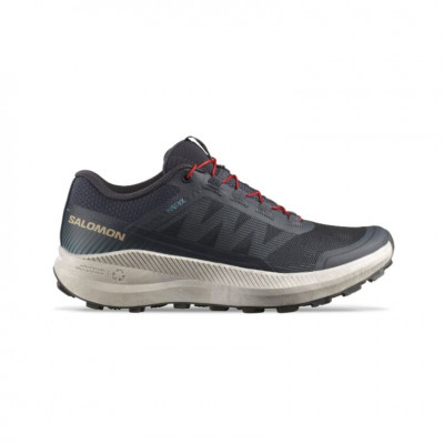 running shoe Salomon Vision