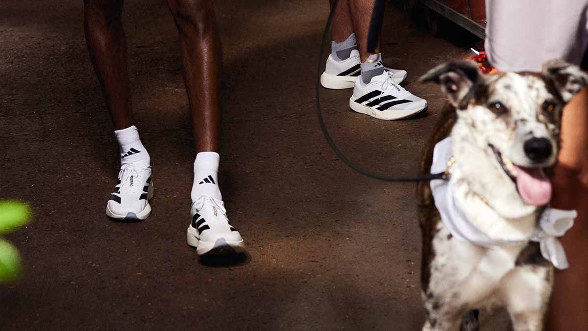 Adidas Adizero EVO SL, offizielle Markteinführung