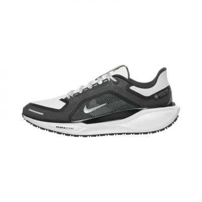 Nike Pegasus 41 Gore-Tex