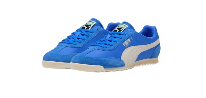 PUMA Arizona: Profilo