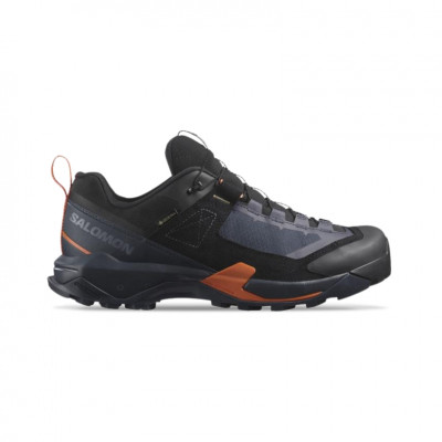 hiking shoe Salomon X Ultra Alpine Gore-Tex